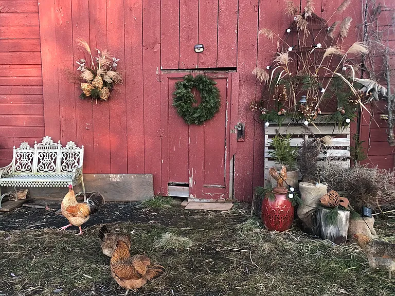 Barn Scene