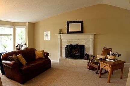 Wood burning fireplace