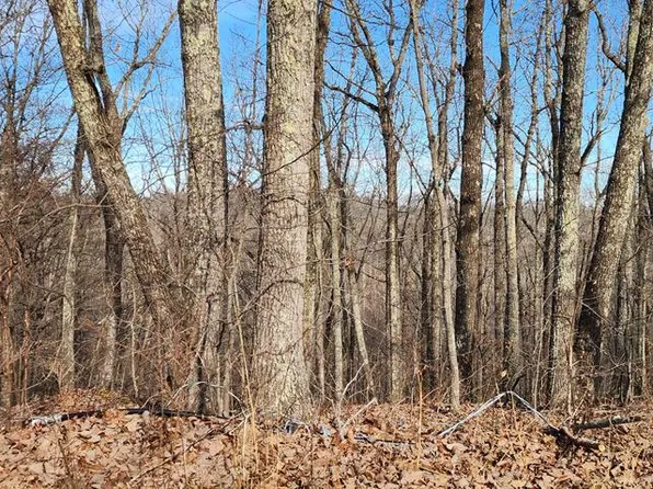 0 Country Club Ln, Holladay, TN 38341