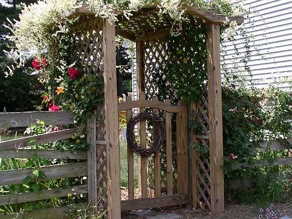 Arbor w/ Silver Lace & roses