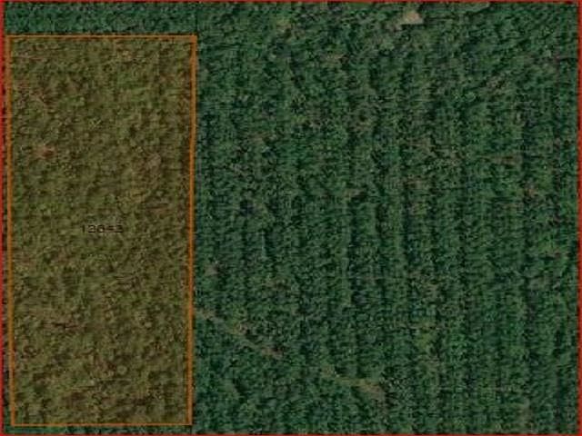 1st image of Cr 4036