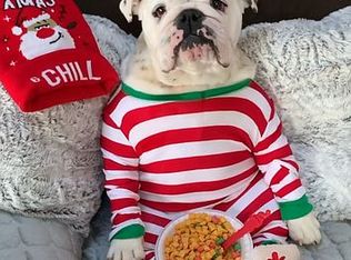 6418 Schaefer Rd, Dearborn, MI 48126