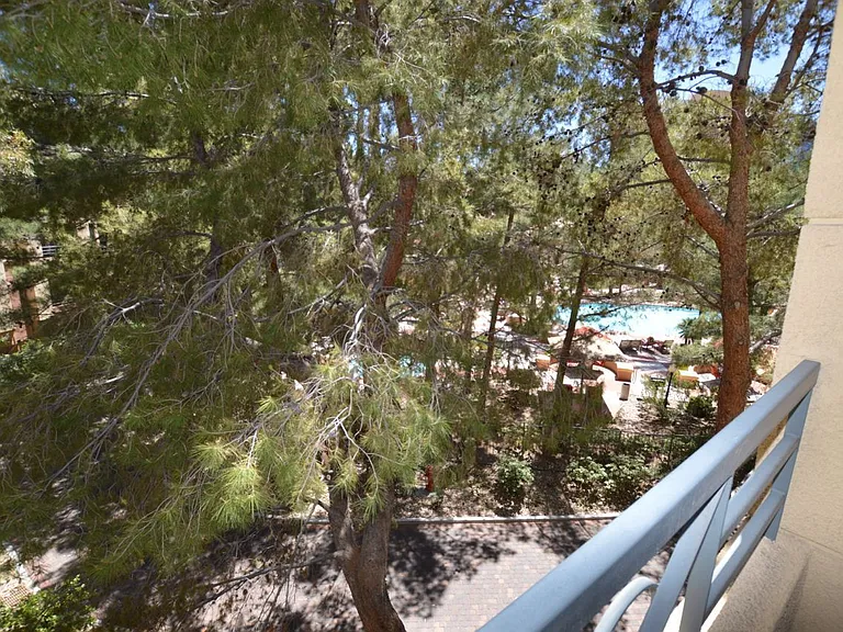 230 E Flamingo Rd #231 — Photo 21