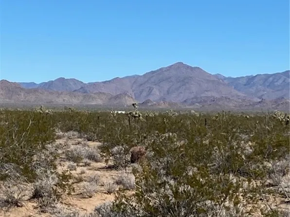 408C E Cholla, Yucca, AZ 86438