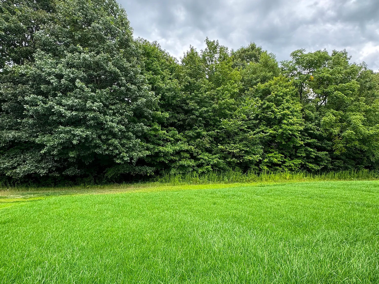5 bed, 2422 sqft, $2,595 — Photo 4