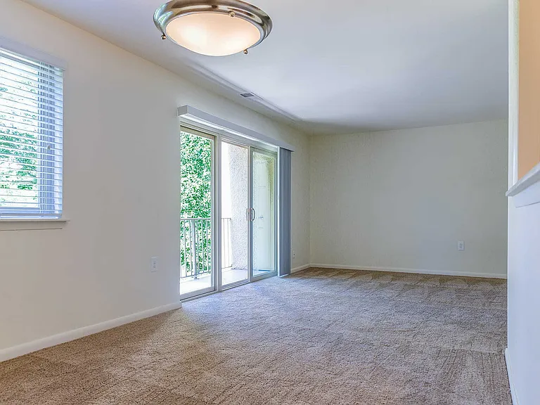 Oakland Hills — Photo 15
