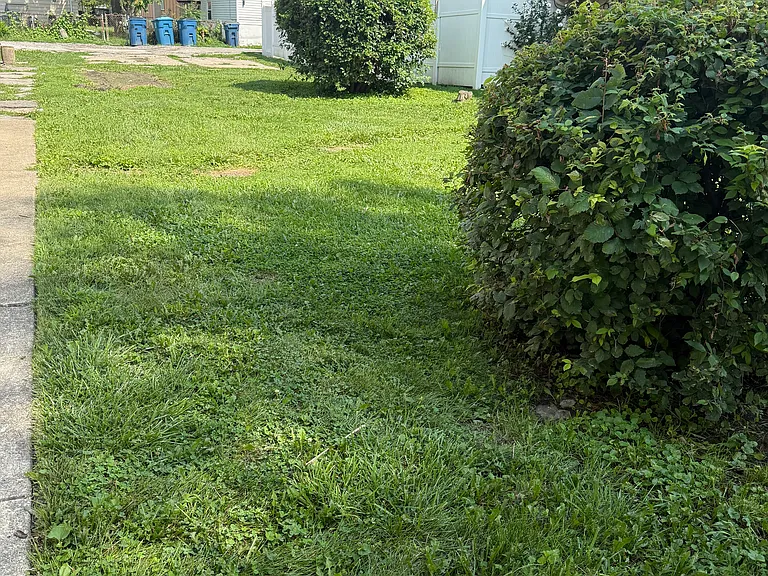 Open full yard for your pleasure and use.