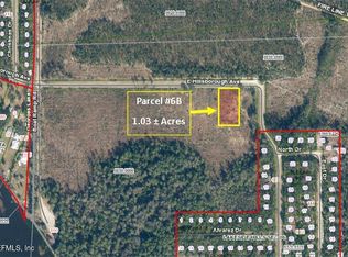 PARCEL 6B E HILLSBOROUGH Avenue, Florahome, FL 32140