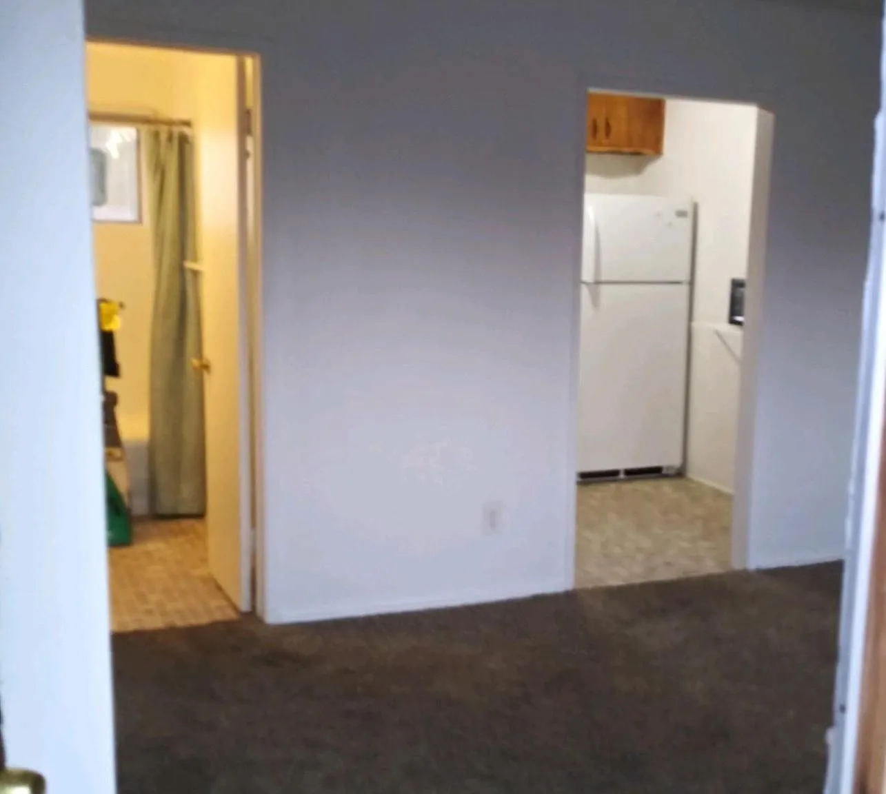 Studio, 330 sqft, $700 — Photo 1