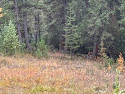 Nhn Glen Lake Rd, Eureka, MT, 59917