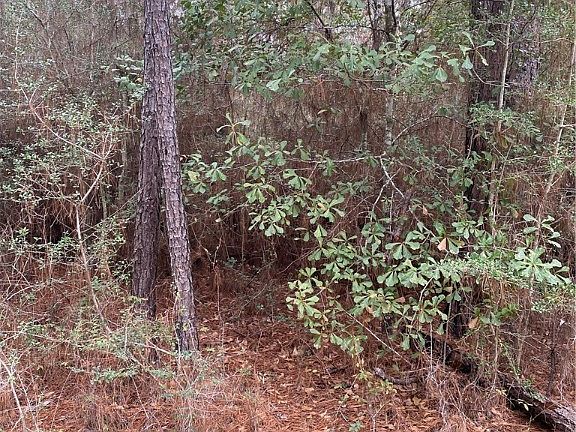 3rd image of Kiowa Dr