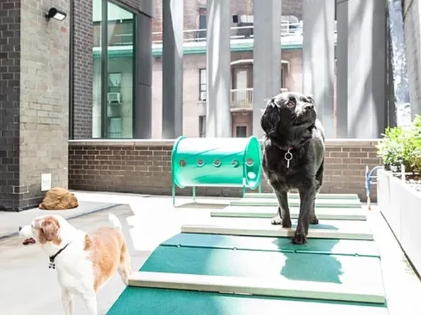 15 William Street image 5 of 9