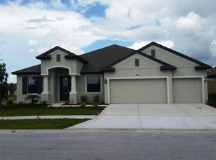 11620 Iris Spring Ct, Riverview, FL 33579