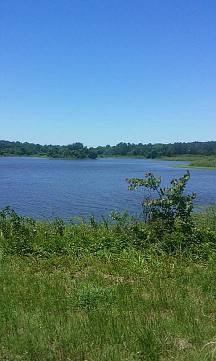 1st image of 5398 Bluebonnet Dr