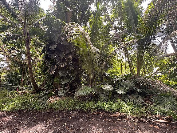 5th image of Puakenikeni Pl Lot 19