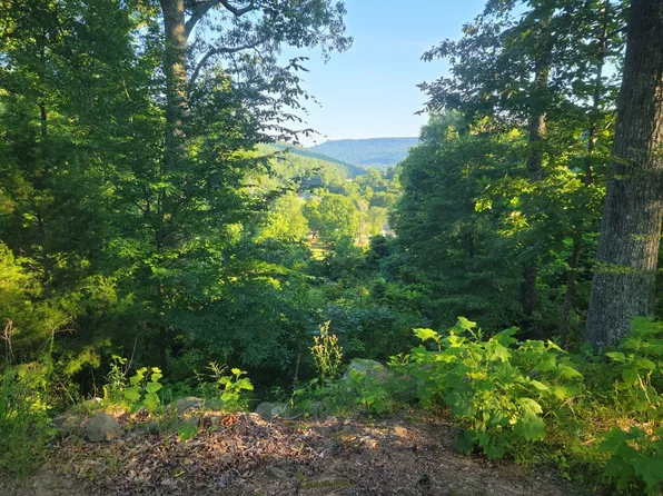 3102 Orme Mountain Rd, South Pittsburg, TN 37380