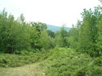 3rd image of 800 Pequawket Trail