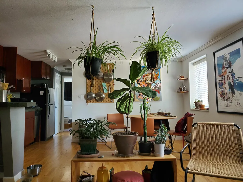 1135 Elizabeth St #201