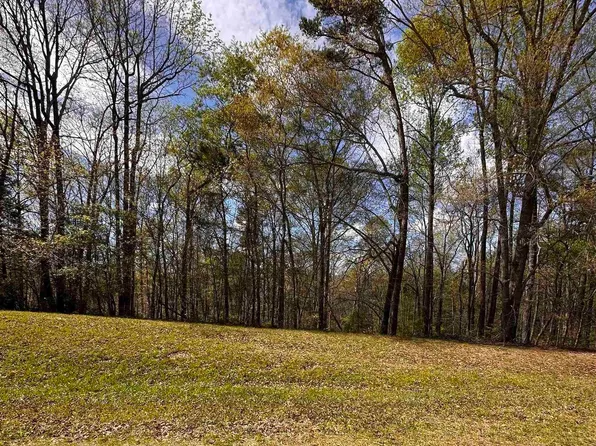 12 Wright Way Dr, Wedowee, AL 36278