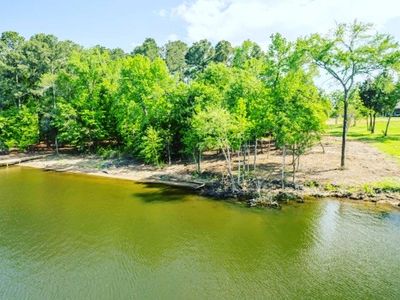 11739 Thousand Pines Cir, Frankston, TX, 75763