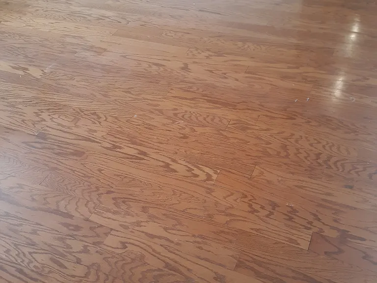 804 Gull Ln — Photo 21