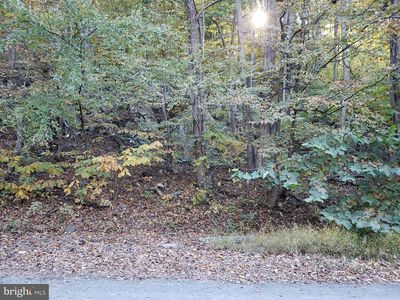 LOT-72B McDonalds Farm Rd #B, Linden, VA, 22642