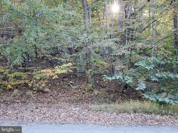 LOT-72B McDonalds Farm Rd #B, Linden, VA 22642