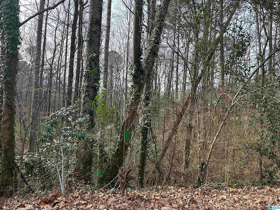 2nd image of 5455 Vicksburg Cir #38