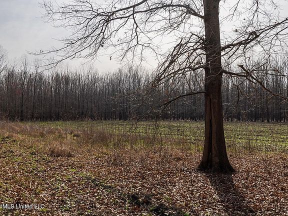 69th image of this home