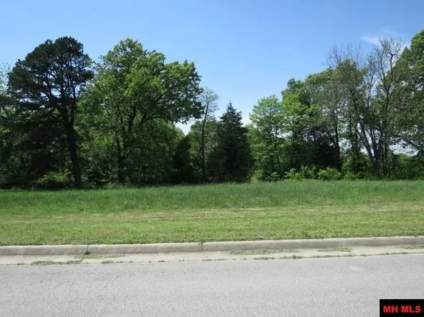Charleston Pl, Mountain Home, AR 72653