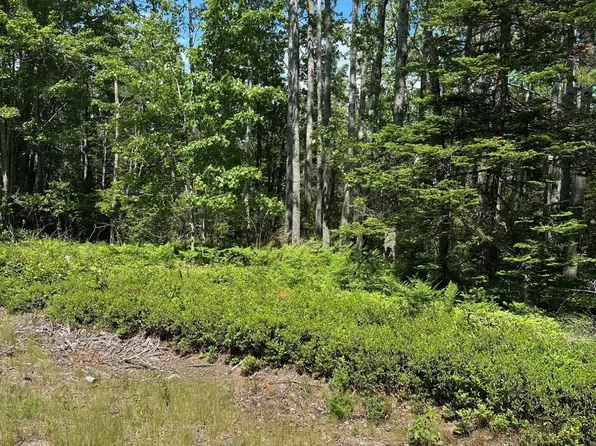 Lot 6 Marshville Road, Harrington, ME 04643