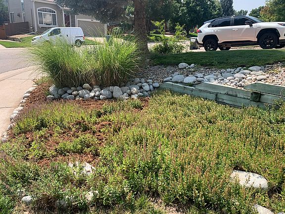 Front yard landscaping - looking to the street