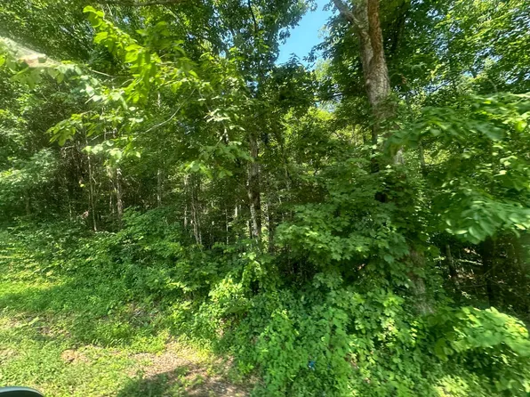 0 Holly Creek Rd, Celina, TN 38551