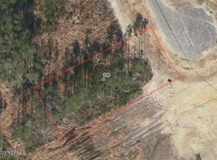 164 Huxley Ter, Hampstead, NC 28443