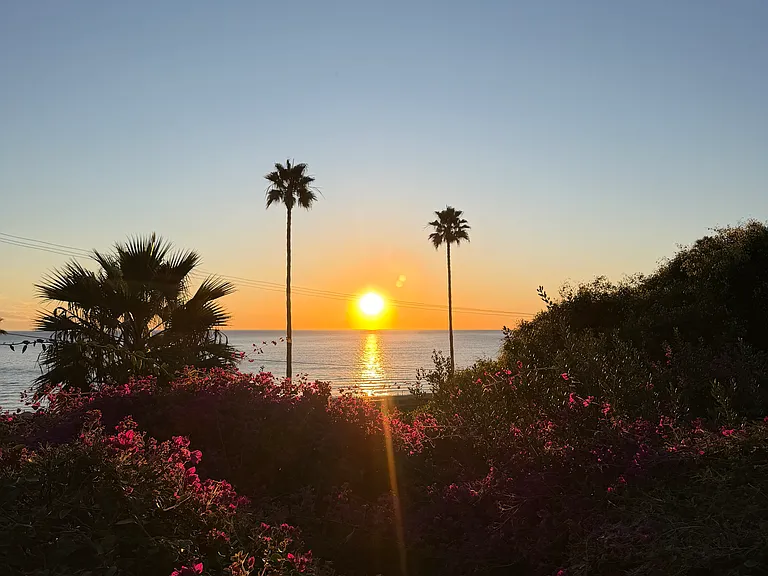 34626 Via Catalina #A — Photo 7