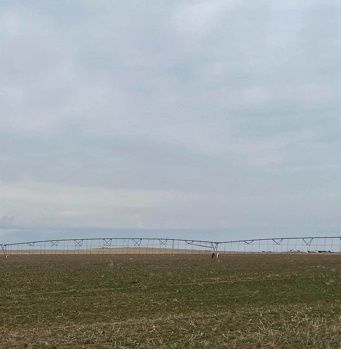 0 County Road 185, Hale Center, TX 79041 Zillow