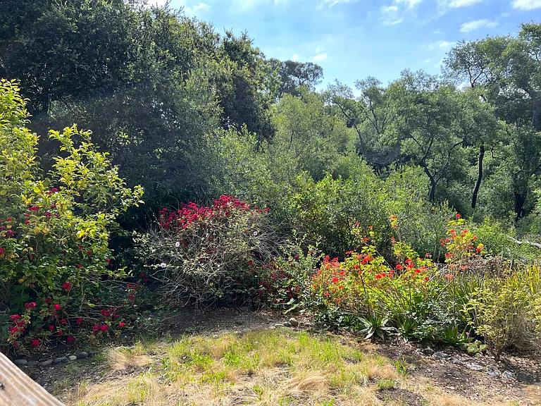 2524 Charlene Ln — Photo 25