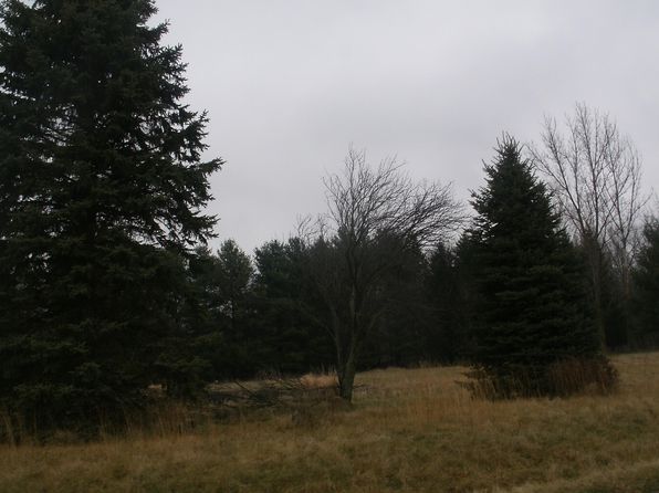 64457 Needham Rd, Burr Oak, MI 49030