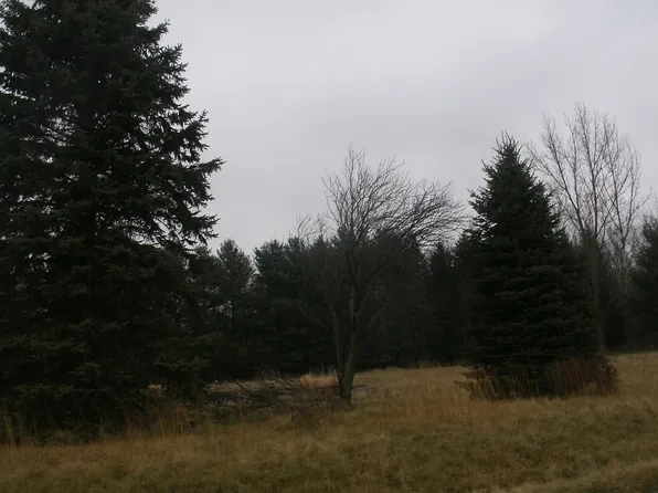 64457 Needham Rd, Burr Oak, MI 49030