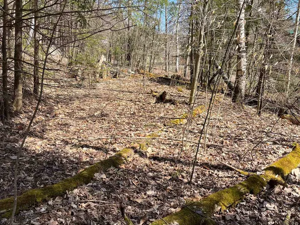 0 Beach Road, Elmore, VT 05661