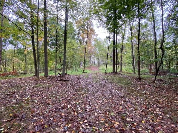 Dallison Rd, Walker, WV 26180
