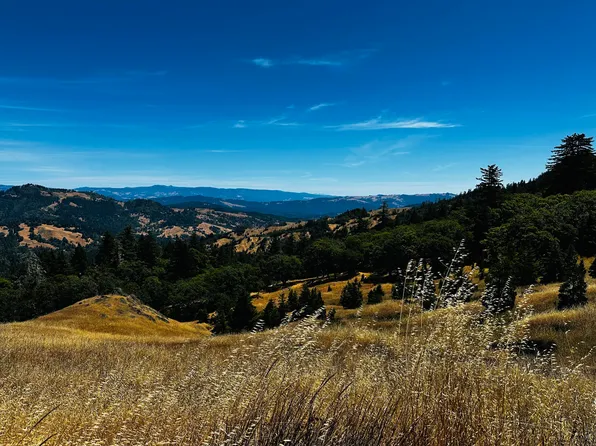 3802 Thomas Rd, Miranda, CA 95554