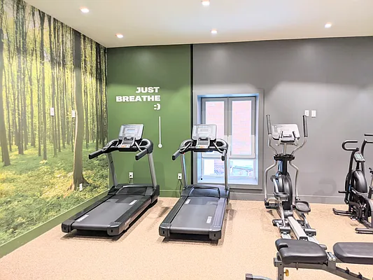 Rented by Skynest  | media 22