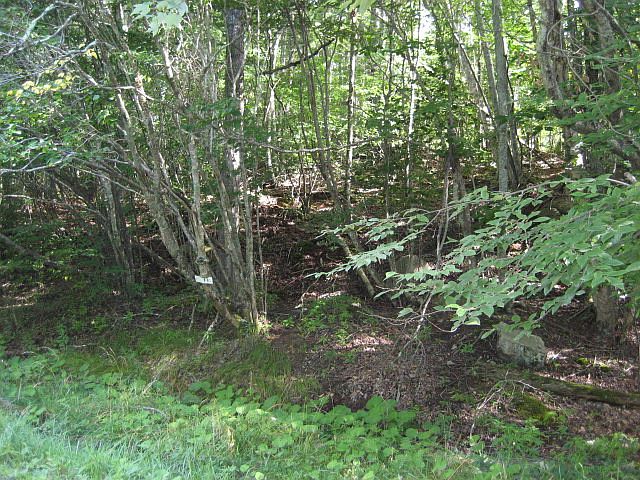 2nd image of 104 Locust Ridge Rd