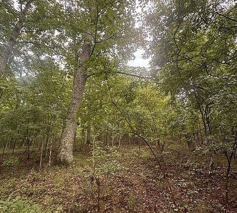 2nd image of 108 Chesadu Cir Lot 108