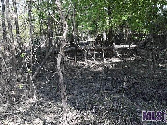 4th image of LOT 4 Aydell Ln