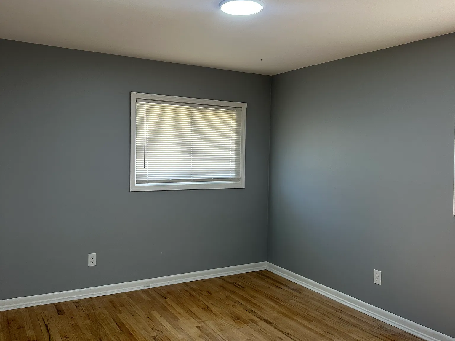2 bed, 1.5 bath, 975 sqft, $1,100 — Photo 2