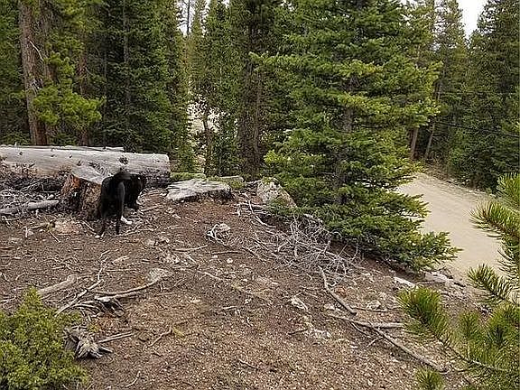 5th image of 991 Bobcat Ln