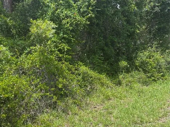 0 SE 186th Ct #13, Ocklawaha, FL 32179