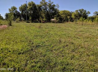 92 E Belly Button Ln, Snowflake, AZ 85937